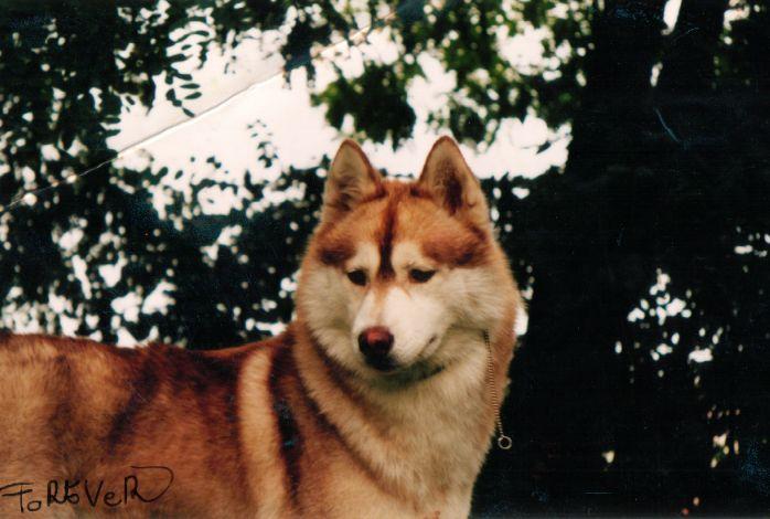 myra (25).jpg